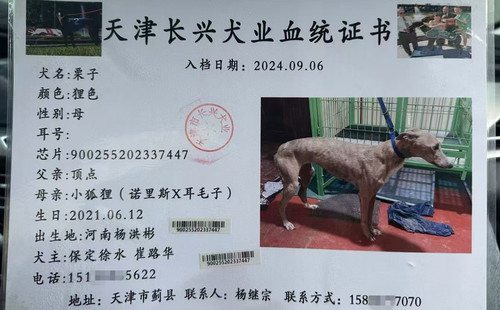 栗子 900255202337447