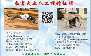 蓝宝石X烁烁 990000006148560.jpg