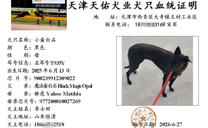 小蛋白石 900239912309022，T935Y