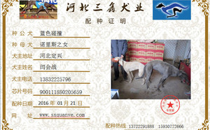 蓝色碰撞X草白公主900111880205659.jpg