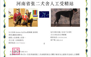 阿斯顿加利利X玫瑰 LKBB 141H，156111110095220.jpg