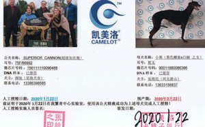 超级加农炮X小黑 900111880086386，三条腿.jpg