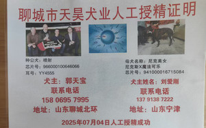 喷射X尼克美女 941000016715084.jpg