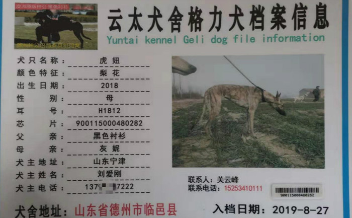 虎妞 900115000480282，H1812