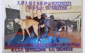 威士忌雪碧X满天星 156111110029445.jpg