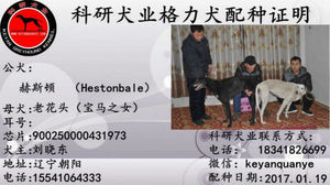 赫斯顿X花头 900250000431973，900250000068276.jpg