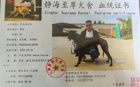 卡尼亚公主 990000006148549，YLML2305