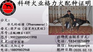 非凡的碰撞X葫芦娃 900250000431998，NLHW1301.jpg