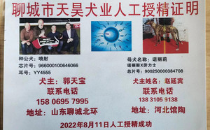 喷射X诺莉丽 900250000384708，NLLL1605.jpg