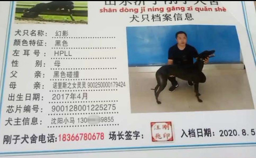 幻影 900128001225275，HPLL