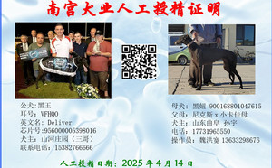 黑王X黑妞 900168801047615.jpg