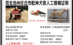 古加纳喷气机X发财树 990000007170492，KNYYL.jpg