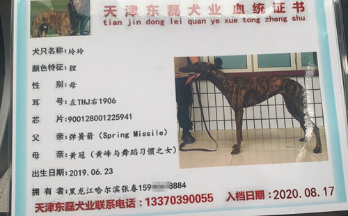 玲玲 900128001225941，THJ1906