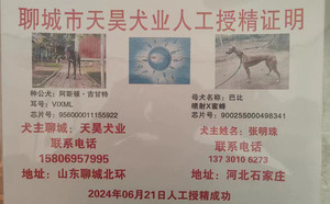 阿斯顿吉甘特X金刚芭比 900255000498341.jpg