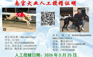哈瓦那X黑二号 994083000000008，900115001743614.jpg