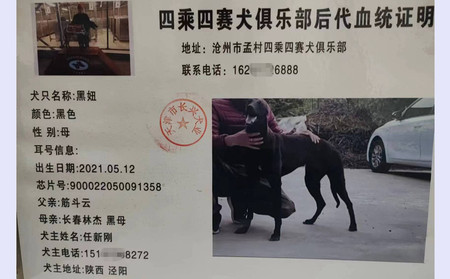 黑妞 900022050091358