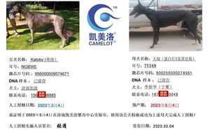奇迹X大瑞 TY349，900250000274561.jpg