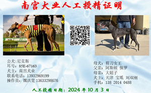 尼克斯X剪刀女王 900023069708610，T571Y.jpg