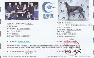 杜克X嘉里皇后 CY468，900215000050798.jpg