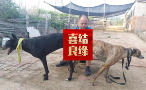 大卫李XX宝 900215000112367，FFSS1807.jpg