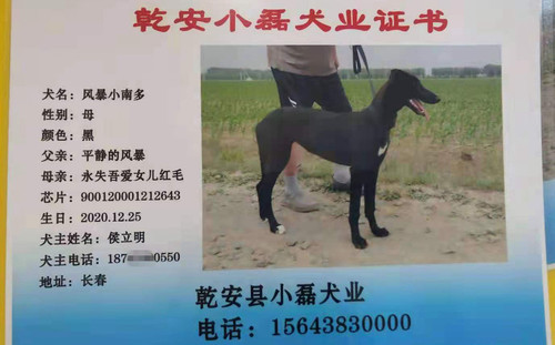 风暴小南多 900120001212643