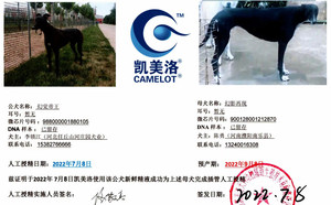 幻觉帝王X幻影再现 900128001212870.jpg