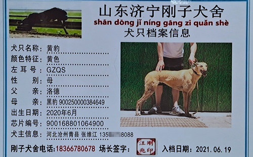 黄豹 900168801064900，GZQS