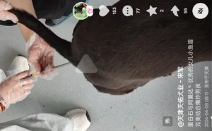 爆炸男孩X小鱼雷 941000225081515.jpg