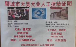 喷射X点点941000225080727.jpg