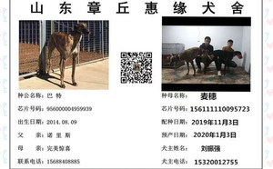 巴特X麦穗儿 156111110095723.jpg