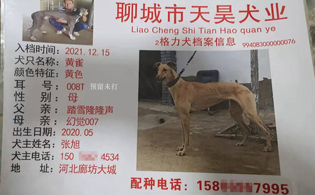 黄雀 994083000000076