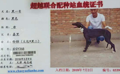 黑一号 CY368，900015637896402