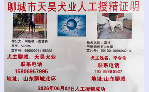 阿斯顿吉甘特X嘉宝 901021000693713.jpg