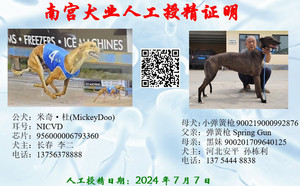 米奇杜X小弹簧枪 900219000992876.jpg