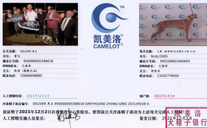 黑王X大黄 900168801066693，NLAL1605.jpg