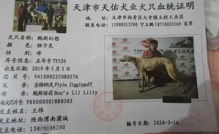 鲍斯幻想 TY520，941000225080576