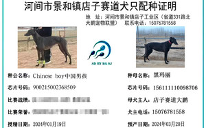 中国男孩X黑玛丽 156111110098706.jpg