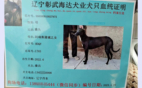 珍妮 990000010037975，HDQYLTAS