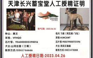 黑王X飞塔 900219000721596，HJWCAWT.jpg