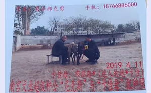 尼克斯X小卡佳母 YY8313.jpg