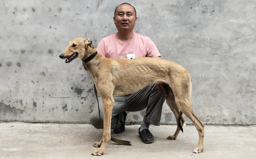 黄追风 900168801045271，GZQS