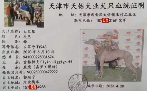 火凤凰 941000225081674，TY943
