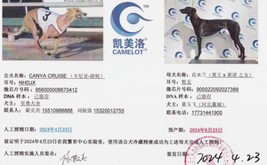卡尼亚游轮X花木兰 900022092027389.jpg