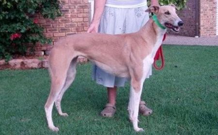 无限的爱 Infinite Love