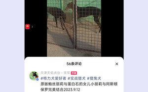 阿斯顿保罗X蛋白丽莉TY575,941000225080886（2023年9月12日配）.jpg
