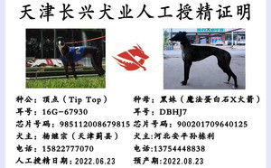 顶点X黑妹 DBHJ7，900201709640125.jpg