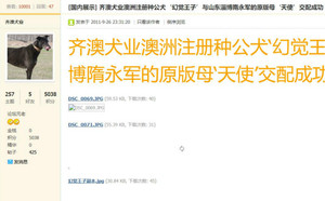 幻觉王子X天使 Ashby Angel.jpg