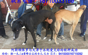 阿斯顿保罗X玲玲 941000016715092.jpg