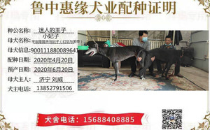 迷人的王子X小妃子 900111880089641.jpg