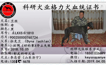 兰丝 900250000765724，LKXS1810